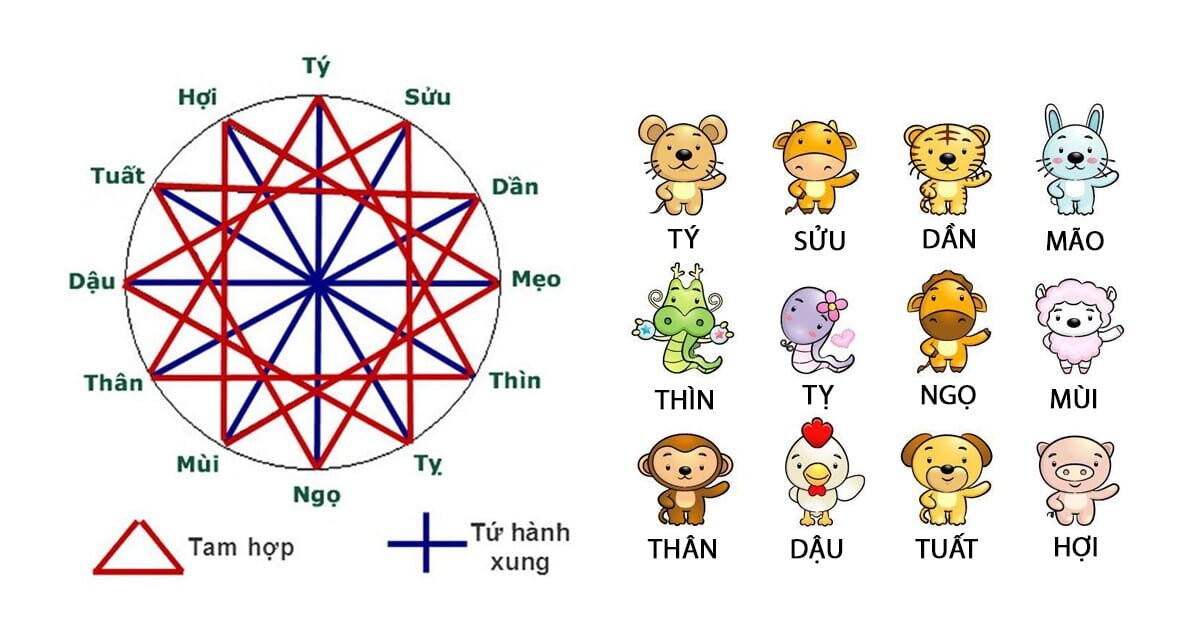 Giải mã tuổi dần hợp với tuổi nào trong 12 con giáp