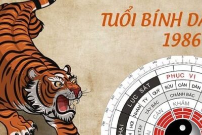 Tuổi dần 1986 thuộc mệnh gì? Khám phá tuổi Bính Dần