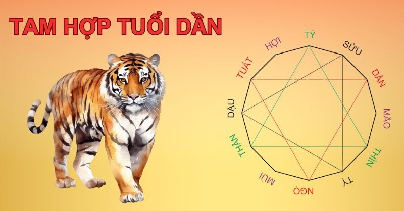 Tuổi dần mệnh gì? Tùy vào năm sinh sẽ quy định mệnh của mỗi tuổi