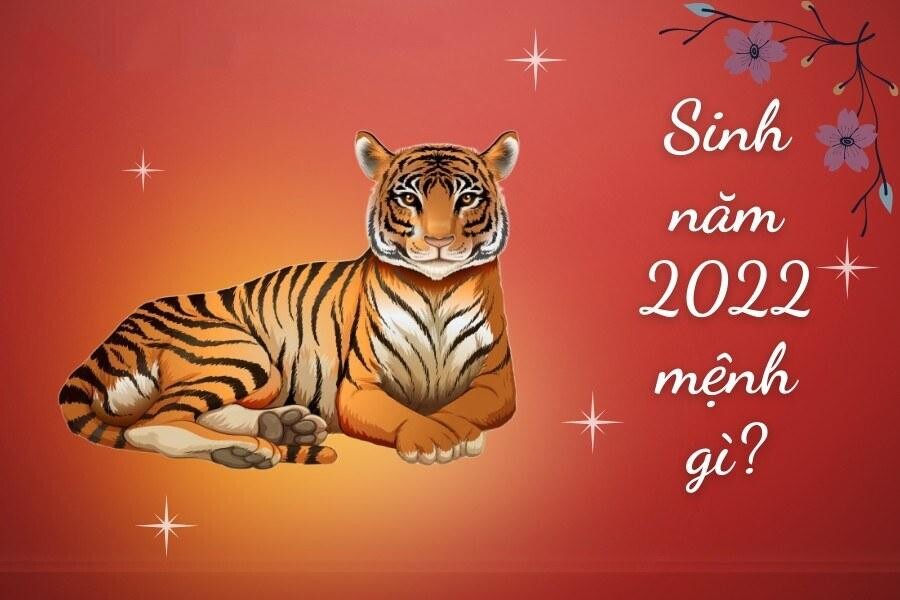 Năm 2022 con giáp nào, mệnh gì?