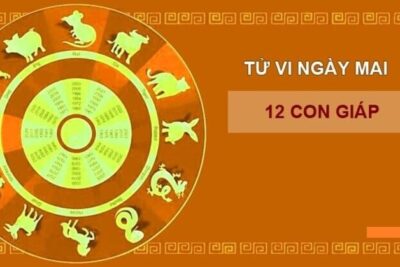 Xem tử vi ngày mai của 12 con giáp và những ý nghĩa!