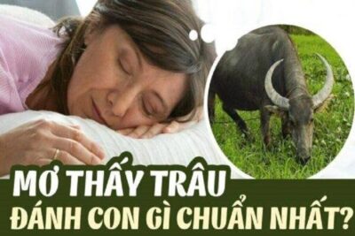 Điềm báo tốt, xấu nằm mơ thấy trâu? Con số nào may mắn?