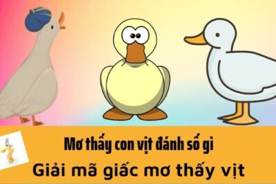 Nằm mơ thấy vịt là điềm gì? Đánh cược con số gì?