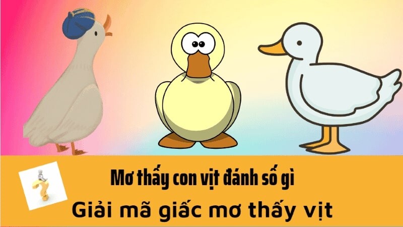 Gợi ý số đẹp khi mơ thấy vịt