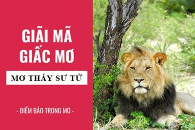 Mơ thấy sư tử: ý nghĩa tâm linh và sự kỳ diệu đằng sau